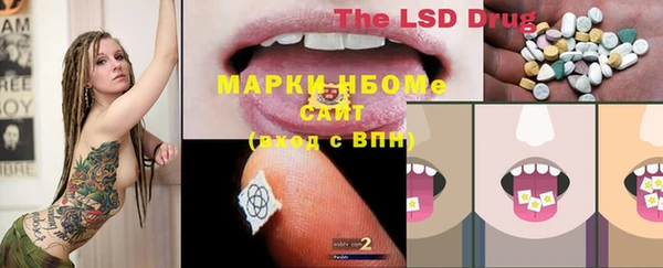 ешки Алзамай