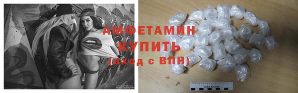 гашик Алексеевка