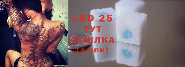 гашик Алексеевка