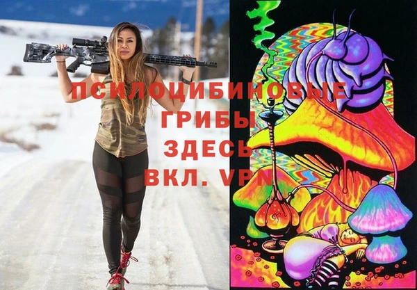 ешки Алзамай