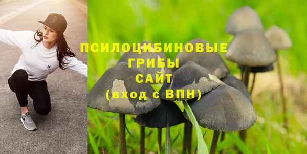 гашик Алексеевка