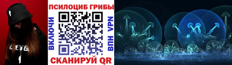 Галлюциногенные грибы ЛСД  OMG зеркало  Ессентукская  сайты даркнета Telegram  что такое  