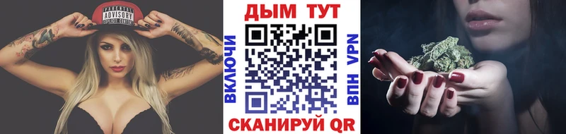 как найти наркотики  Ессентукская  Шишки марихуана White Widow 